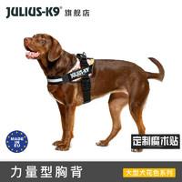 可爱的柯基怎么养成的，一步到位教你养好柯基狗