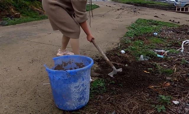 钓鱼者如何在家中养蚯蚓，小妹教你养蚯蚓