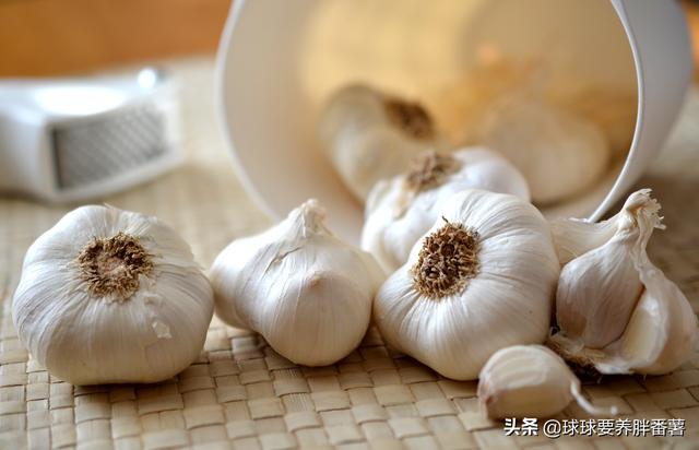 甜蒜的腌制方法，腌制糖蒜的正宗方法