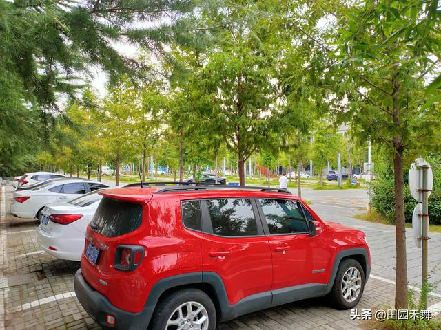 连云港新浦公园，连云港新浦公园在什么位置