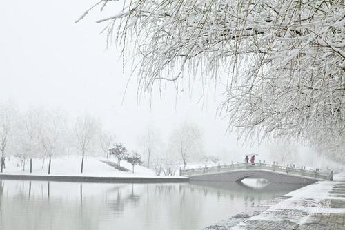 河南科技大学和洛阳理工大学，河南洛阳有一所小211高校