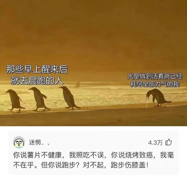 活动段子脚本，抖音百万大V的短视频运营脚本