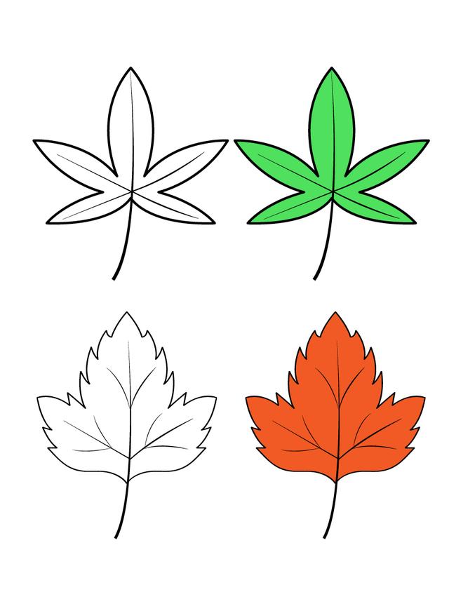 儿童叶子简笔画简单，16种不同树叶的儿童简笔画素材