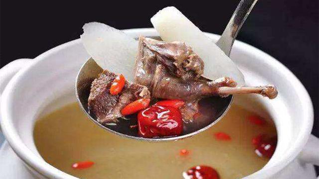 糖尿病乳鸽(糖尿病鸽子汤做法大全窍门)