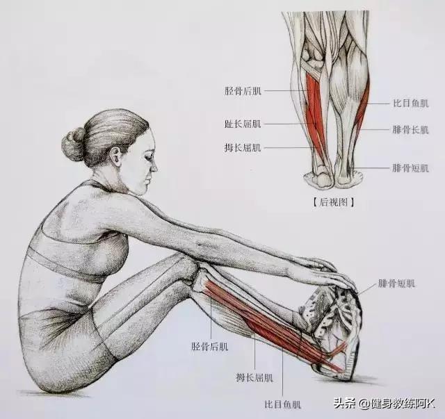防止小腿变肌肉腿的拉伸动作，跑后7大拉伸动作