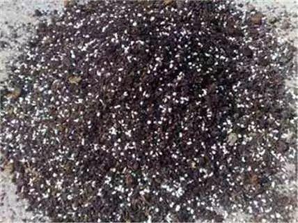 龟背竹的水养方法和注意事项，养龟背竹用对土