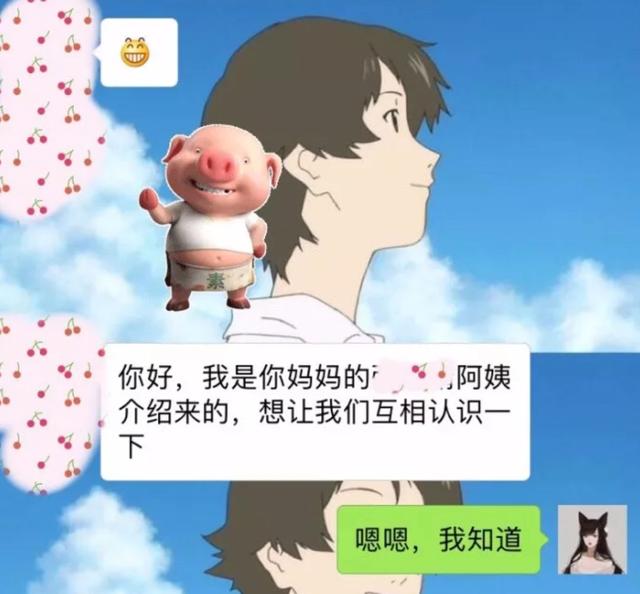 相亲真实案例聊天记录，相亲聊天记录曝光