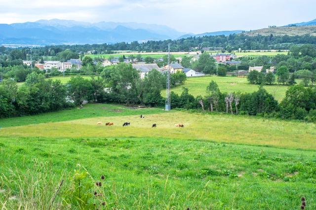 人穷莫走亲的经典语录，人穷别说话位卑莫劝人
