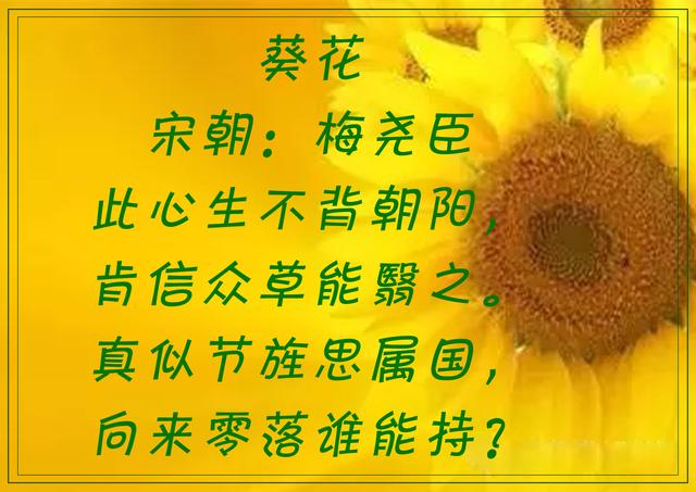 傲阳的诗句大全，倾阳丹心独自在