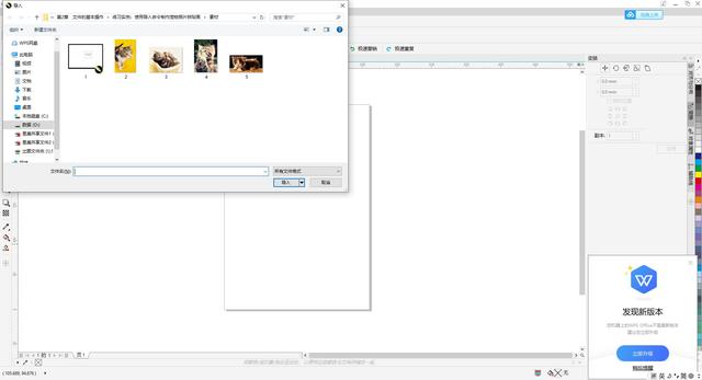 coreldraw教程，coreldraw小白入门基础教程