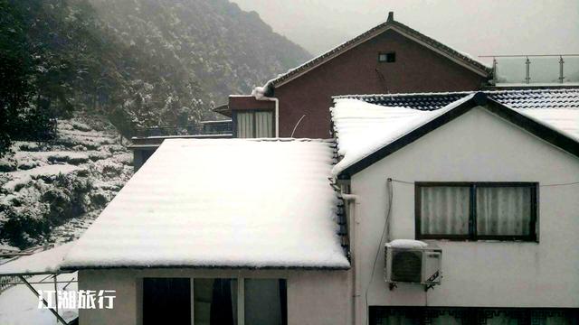 杭州梅家坞风景，到了杭州梅家坞古村