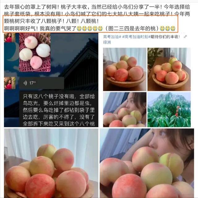 張馨予崩潰發文後秒刪，瑣碎日常引關注，網友：連生氣都像秀恩愛 娛樂八卦吃瓜 第4张