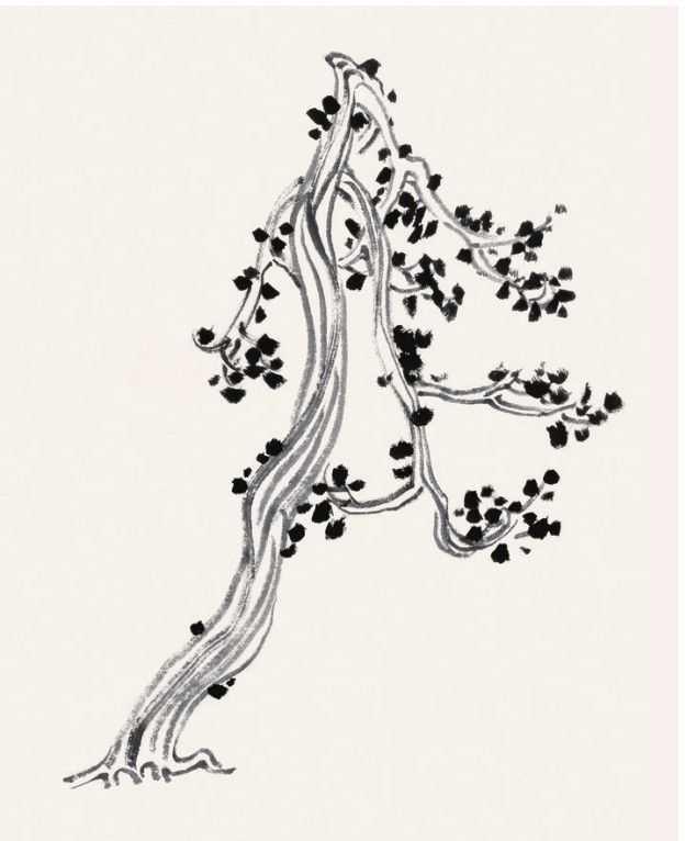 国画画谱之柳树画法二，山水画基础教程——柳树画法分步图解