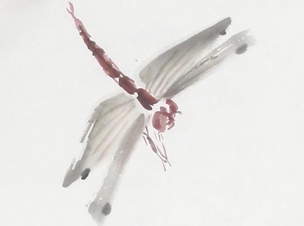 国画简单蓝蜻蜓的画法，画点荷花和蜻蜓给这个夏天降降暑