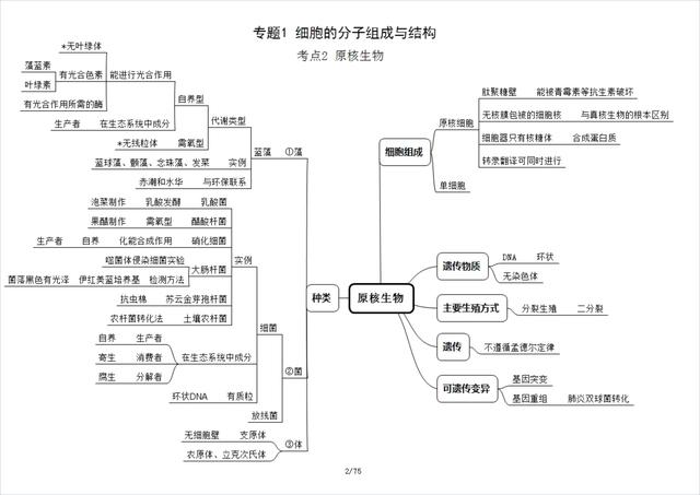 高中生物必修一思维导图，高中生物必修一全部思维导图（高中生物必修1思维导图）