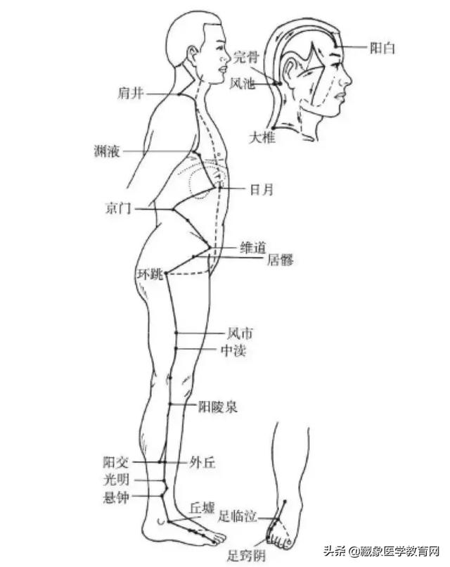 十二经络循行路线，十二经脉循行走向与交接规律图解（<十分钟教你终生不忘）