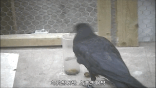 儿童科普纪录片，适合儿童看的科普片（9部孩子必看的顶级纪录片）