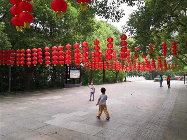 泰州溱湖湿地公园，江苏溱湖国家湿地公园（泰州溱湖国家湿地公园）