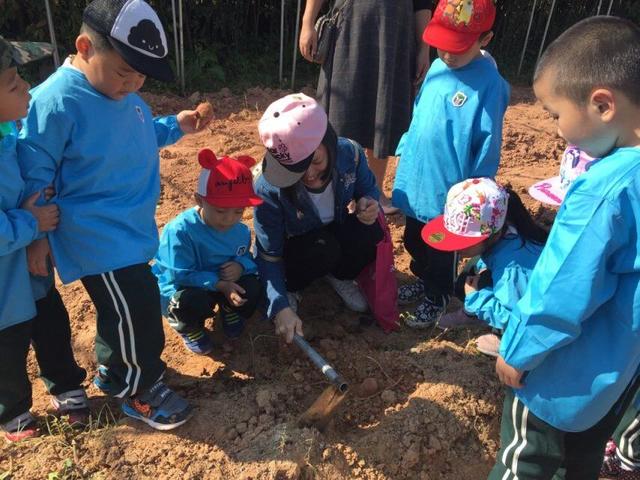 幼儿园投资的利好和坑，个人投资幼儿园今后还有前途吗