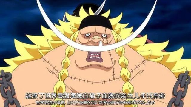 王下七武海成员，海贼王七武海历代名单（王下七武海中实力堪比大将、四皇的人物）