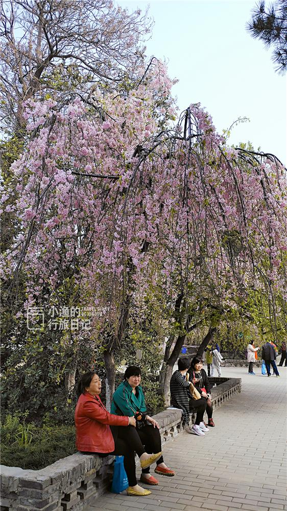 西安清净的寺庙，西安闻名遐迩的十大佛教寺院