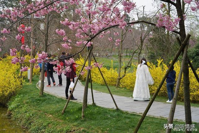 济宁周边的旅游景点推荐，济宁这九个周边游好去处