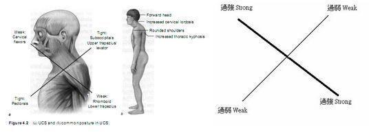 4分钟练出天鹅颈，三步让你拥有天鹅颈