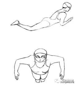 蛙泳腿蹬腿如何发力，蛙泳入门教学