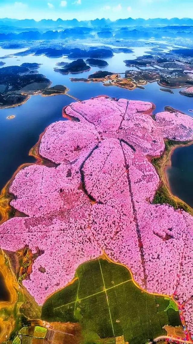 春天踏春赏花时间表，2023春日赏花踏青去哪