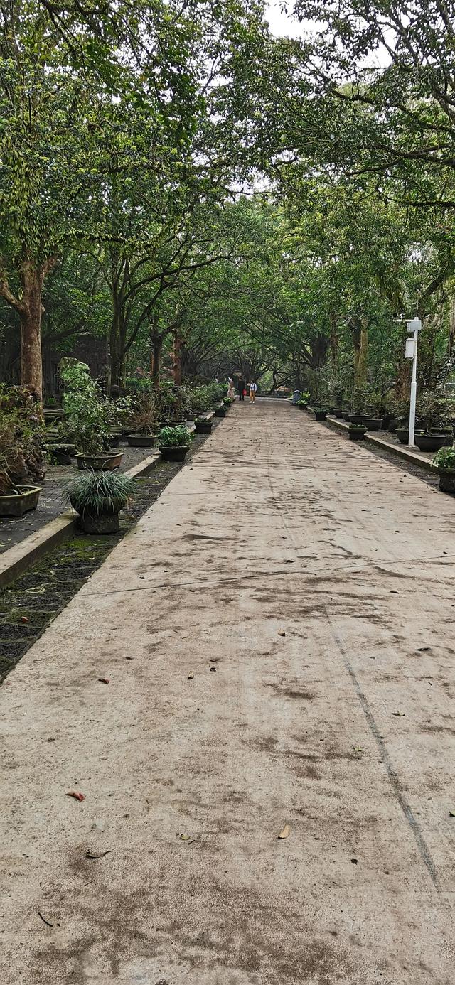 火山国家地质公园旅游，火山口地质公园游览感受