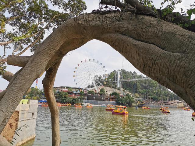 广东东莞旅游必去十大景点，留在东莞过年这15个4A旅游景区