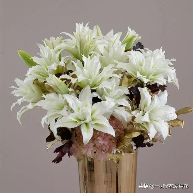 秋天有什么花容易养又好看，这20种花建议选几个