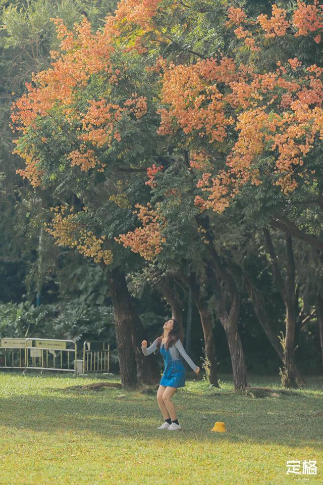 莲花山公园 网红打卡地，莲花山公园又红了