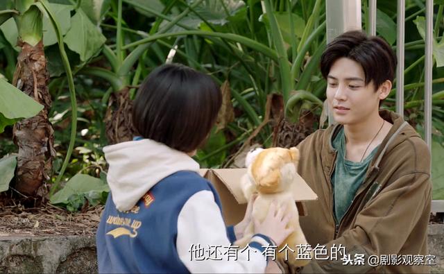 杨夕被花彪打，《人不彪悍枉少年》——杨夕