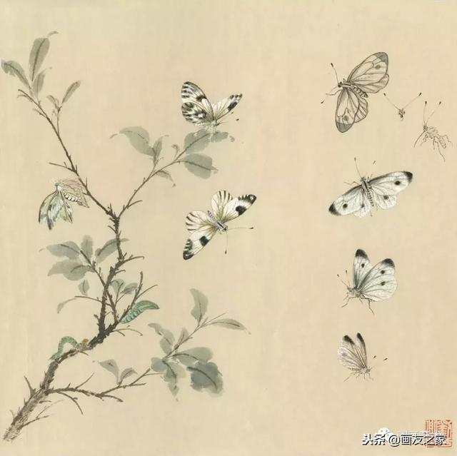 九尾狐最简单的画法教学，逐花之虫蝶蜂画法示范
