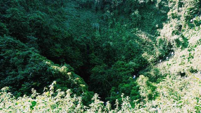 海口火山口公园，海口火山口公园游玩攻略（这篇超甜蜜的海口行攻略值得收藏）