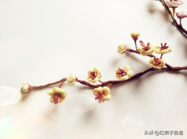 钩针编织小花朵，钩针编织花朵简单易学（新手半个小时就可以钩出来送给自己）