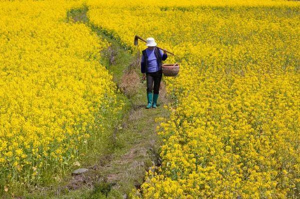 三月最值得去的旅游地方，9大绝美春色旅行地