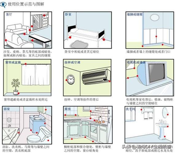 小强再强大用这三招，家里的小强蟑螂怎么灭