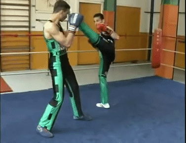 世界ufc格斗流派排名，MMA技术流派观览之UFC中五大跆拳道高手
