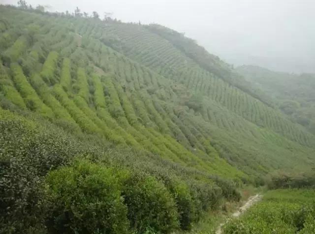 宁波有几个古道可以爬山的，宁波这11条登山健身步道你走过吗