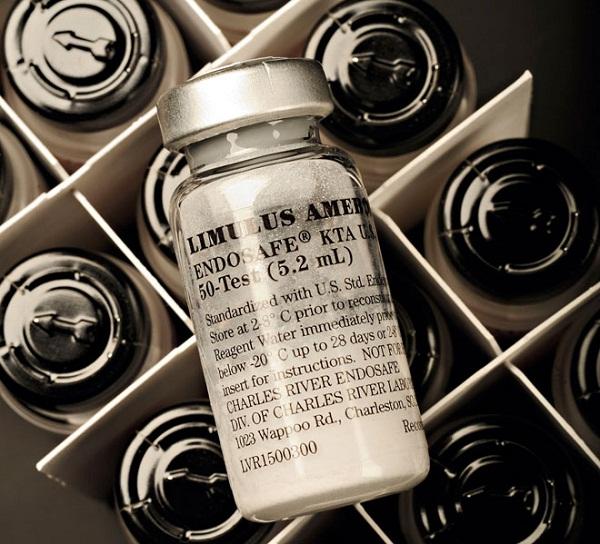 地球上唯一的蓝血生物，男孩交给警察1只4眼蓝血小怪物