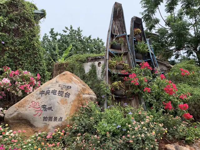 广东湛江旅游攻略，湛江旅游攻略最全攻略（广东省湛江市赤坎区十大景区有哪些）