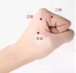 脏器排毒时间表，人体六大器官排毒时间表（器官真的会按照时间表排毒吗）