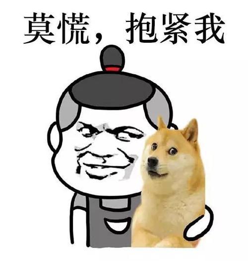 南方蟑螂的可怕之处，当北方人到了南方之后