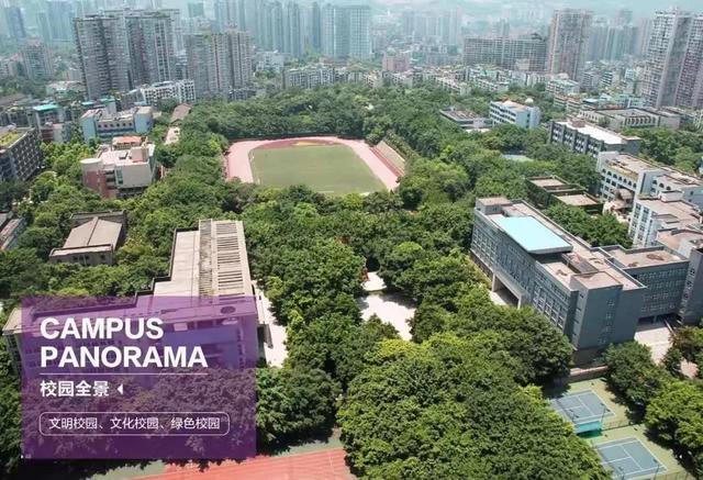 重庆的五大名校，西南大学、西南政法大学、重医大并列第2