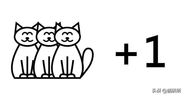 买猫砂盆哪种比较好，猫砂盆最全选购指南