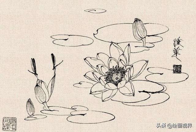 超级简单的白描画法，学习画白描很难