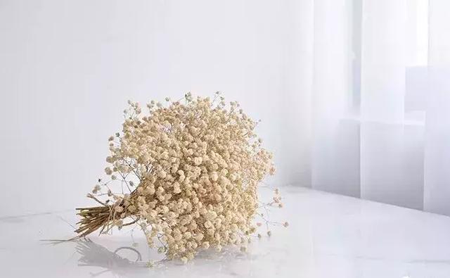 鲜花怎么做成干花，怎么把送的玫瑰花做成干花