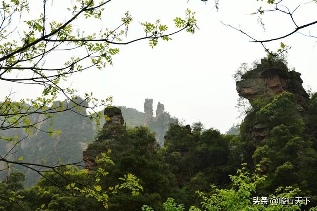 阿凡达拍摄地张家界的什么地方，“取景产业”，城市新动能